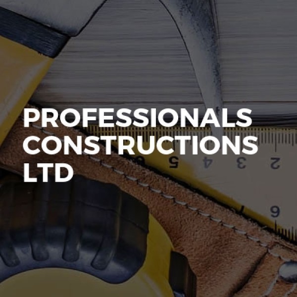 Professionals Constructions Ltd logo