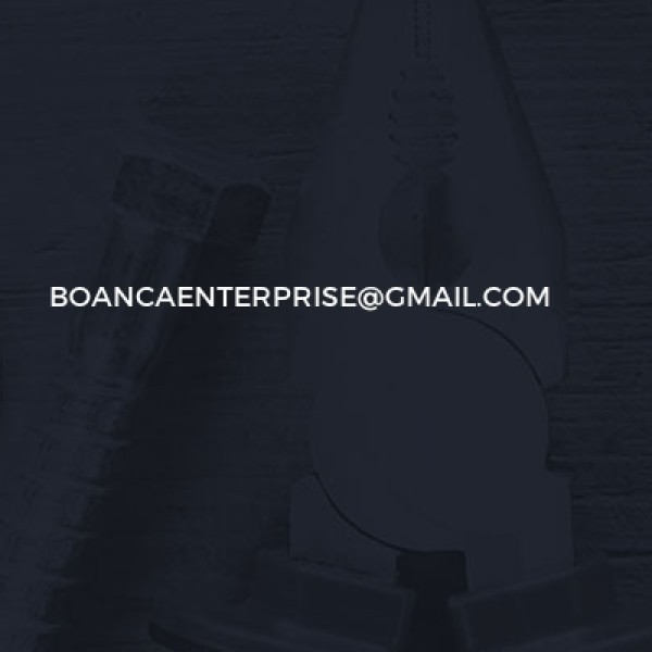 Boanca Enterprise Ltd logo
