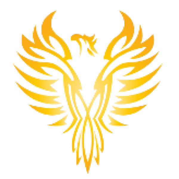 Phoenix Plastering  logo
