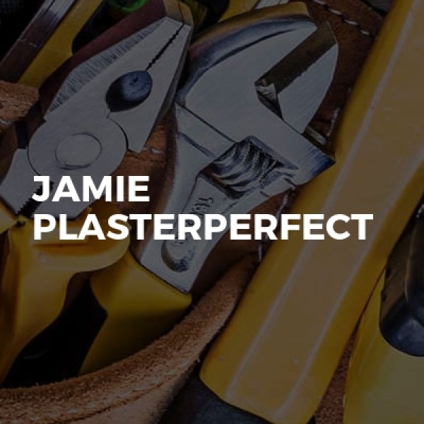 Jamie Plasterperfect logo