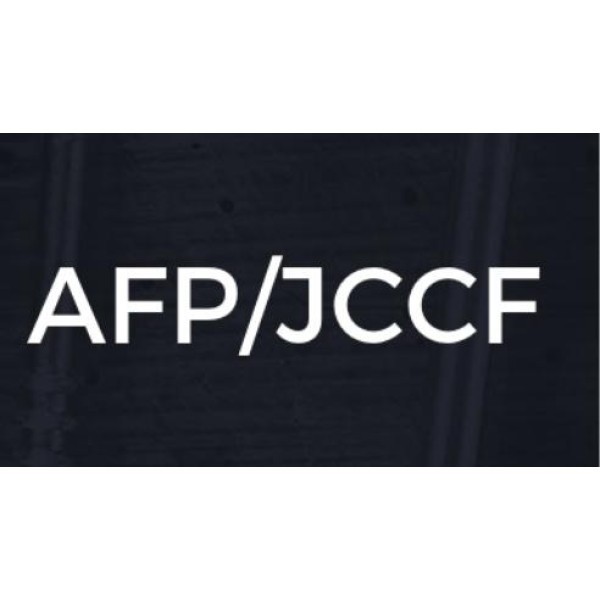 AFP Services LTD  logo