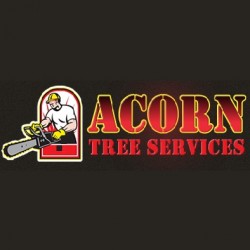 acorn tree services