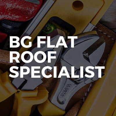 Bg flat roof specialist