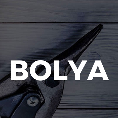 Bolya