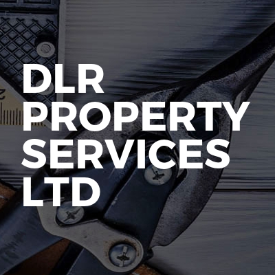 DLR Property Services LTD