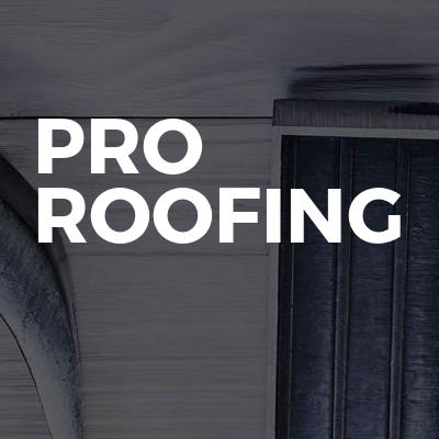 Pro Roofing 