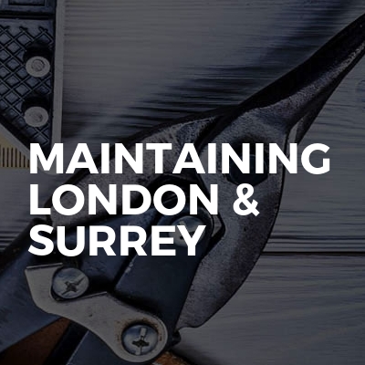 Maintaining London & Surrey