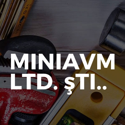 Miniavm Ltd. şti..