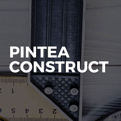 Pintea construct
