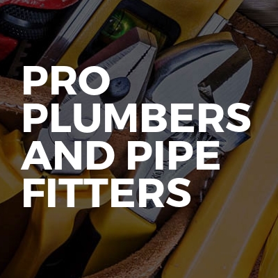 Pro Plumbers And Pipe Fitters ltd logo