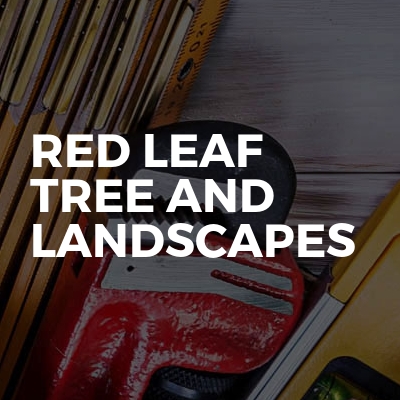 Red Leaf Tree And Landscapes