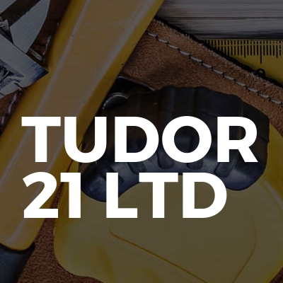 Tudor 21 Ltd